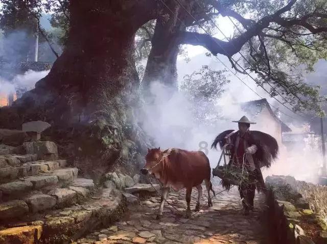 怎么样做出对自己最有利的决定?-专业问答交流平台